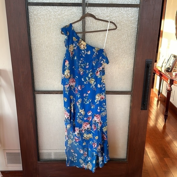 Slate & Willow
Blue Floral Maxi size 2 - Picture 7 of 14